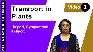 Transport in Plants  NEET  Uniport Symport amp Antiport  Neela Bakore Tutorials [upl. by Narhem]