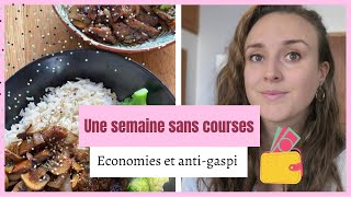 Une semaine videplacard  Défi sans dépenses JOUR 5 [upl. by Nnahtur]