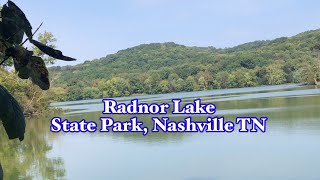 Radnor Lake State Park Hiking Trail [upl. by Armallas786]