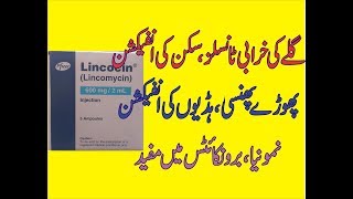 Lincocin Lincomycin Uses  Side effects DoseContraindication In Urdu [upl. by Kenrick]