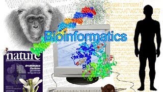 Bioinformatics part 1 What is Bioinformatics [upl. by Nohsed882]