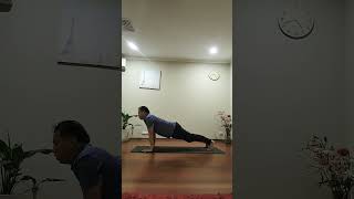 Do YOGA Pushups For CRAZY Strength amp Stability [upl. by Nannerb792]