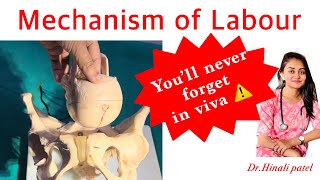 Mechanism of Labour  Quick revision for Viva  step vise easy demonstration viva obstetrics [upl. by Lecia298]