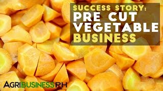 Pre Cut Vegetable Business  Pre Cut Vegetable Business Success Story  Agribusiness Philippines [upl. by Hirz]