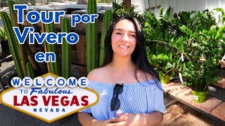 Tour Por VIVERO en Las Vegas [upl. by Morril287]