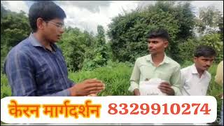 Karyon organic pvt ltd अद्रक बागायतदार खूप खूप समाधान 8329910274 [upl. by Anined565]