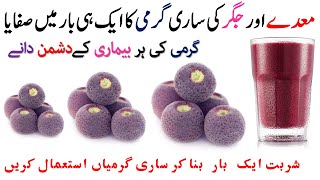 Falsa Fruit Benefits in Urdu  Phalsa Health Benefits in Urdu  Hindi  Falsay ka Sharbat Recipe [upl. by Anoynek]