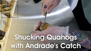 Shucking Quahogs with Andrades Catch [upl. by Akerley]