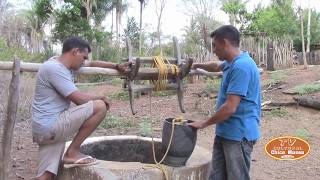 UMA CONVERSA COM OS COLHEDORES DE ARRUDA DO MATO COISAS DA ROÇA [upl. by Sharla]