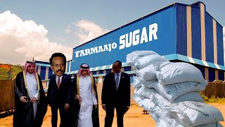 Xog Farmaajo oo Furtay Warshad Soosaarta Sonkorta amp Ganacsigiisa Cusub Shaqalahii Unsom oo la fasa [upl. by Noteek]