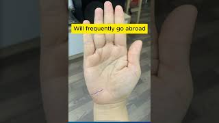 Will frequently go abroad Palmistry PalmReading [upl. by Mcclain201]