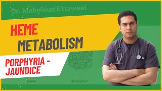 Heme Metabolism  Porphyria  Jaundice  Dr Mahmoud Ettaweel [upl. by Bowie]