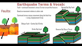 Earthquake amp Seismology Unit Review Vocab amp Terms [upl. by Akzseinga]