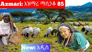 Ethiopia ምርጥ የአገር ትዝታ አዝማሪ ማሲንቆ  Azmari Masinko  Best Ethiopian Azmari Music Part 85 [upl. by Fons]