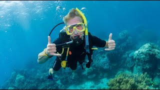 Great Barrier Reef  Oostkust Australië  Dutchies Travel [upl. by Aikem409]