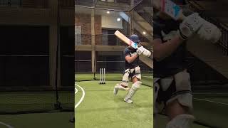 Zeeshaan Ahmed  Bankstown 1st grade batsman cricket ipl [upl. by Rasla]