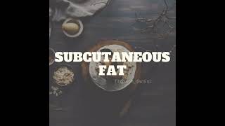 What is subcutaneous fat Subcutaneous fat kya hota hai [upl. by Sinaj]