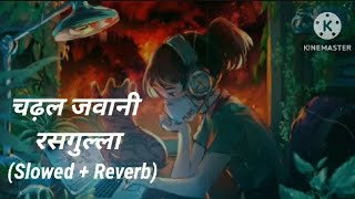 Chadhal Jawani Rasgulla  Slowed Reverb Song  Neelkamal Singh  Shilpi Raj  चढ़ल जवानी रसगुल्ल [upl. by Annie]