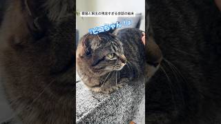 残念すぎる愛猫と飼い主の会話の結末 [upl. by Iadam610]