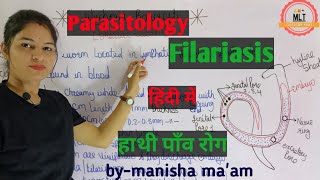 Filariasis हाथीपाँव  wuchereria bancrofti  Microfilaria  Mlt Lecture  Parasitology [upl. by Hoban]