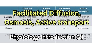 شرح فسيولوجي Facilitated diffusion Osmosis Active transport Pinocytosis [upl. by Enelyahs]