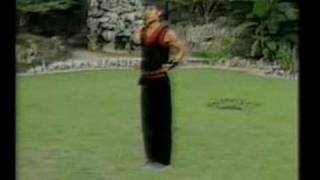 Wushu  Yan Shi Wen Fundamental Nan Quan Training [upl. by Anahgem]