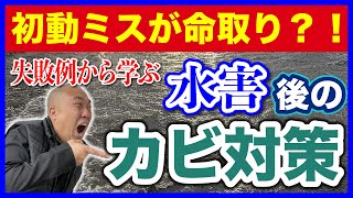 【初動を間違えたら大惨事】水害後のカビ対策【基礎パッキン・基礎断熱】ZEHの家・床下のカビ問題 [upl. by Nigam579]