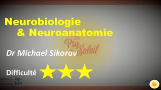 Neurobiologie amp neuroanatomie  Dr Michael SIKORAV [upl. by Oigolue]