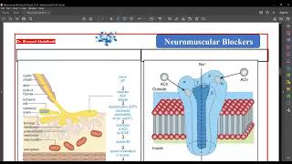 Neuromuscular blocking Drugs By Dr Elsayed Abdelhad 2023 [upl. by Oyam]