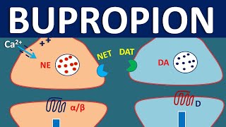 Bupropion Wellbutrin  How it works Uses Side effects and Precautions [upl. by Schaper]