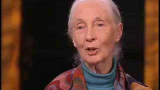 Jane Goodall on Role Zoos Play in Saving Wild Animals [upl. by Sebbie]