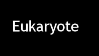 How to Pronounce Eukaryote [upl. by Kroo]