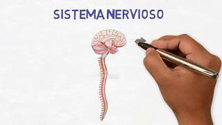 Neurología para pacientes  ¿Qué hacen los neurólogos [upl. by Siwel]