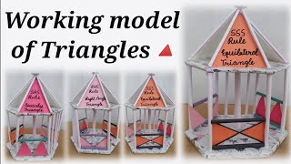 Maths project for class 9  Congruence of TrianglesSSS SAS ASA AAS  congruent triangles rules [upl. by Charry157]