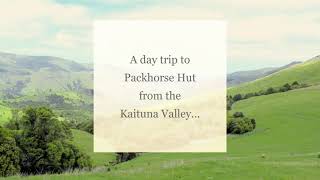 Kaituna Valley to Packhorse Hut Track [upl. by Anitsyrc]