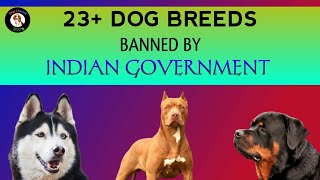 23 Dog Breeds banned in India  Details in Telugu  Dogs Channel TELUGU [upl. by Hgieliak]