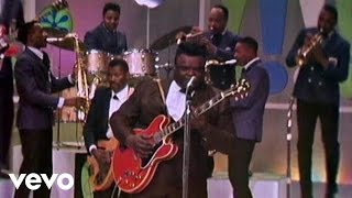 Freddie King  Hide Away Live [upl. by Leunam]