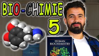 Episode 5 de Biochimie Structurale 🧪 🧬  Les Glucides  Prof Feynbert [upl. by Eitteb26]