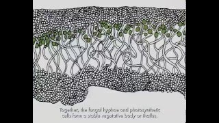 Lichen Biology [upl. by Naashom]