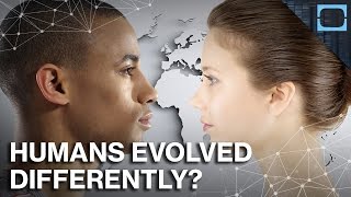 Why Europeans And Asians Evolved So Differently [upl. by Ailito]