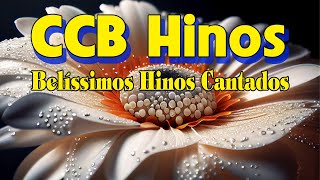 Hinos CCB 2023  Hinos Ccb Para Oração Da Manhã De Hoje  A Melodia Do Hino Ccb Acalma A Alma [upl. by Naesal877]