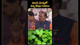 తులసి మొక్కలో ఉన్న ఔషధ గుణాలు 💯 PMC Health [upl. by Alilahk]