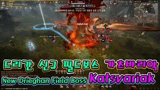 검은사막BDO 드리간 신규 필드보스 카츠바리악New Drieghan field boss Katsvariak [upl. by Carrnan]