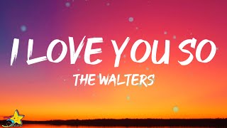 The Walters  I Love You So Lyrics  I hope you feel what I felt when you shattered my soul [upl. by Namya]