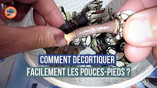 Comment décortiquer les poucespieds facilement [upl. by Enened81]