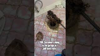 Pulling Back Roots  Plumbing Meme [upl. by Leshia]