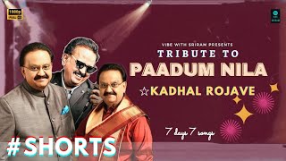 Kadhal Rojave Song From quotTribute to PAADUM NILA  SPBquot [upl. by Thaddeus]