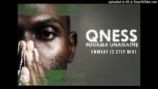 Dj Qness  Funga unamathe Emmkay 3 Step Remix [upl. by Ydrah]