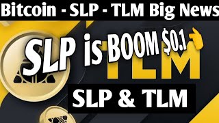 Bitcoin Today Big News  SLP price prediction  TLM price prediction  Crypto PUMP [upl. by Lita]