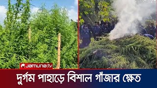 পুড়িয়ে ধ্বংস করা হলো ৩০ কোটি টাকা মূল্যের গাঁজা  Khagrachari  Jamuna TV [upl. by Mackenzie]